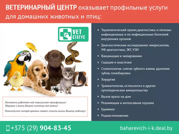 Ветеринарные профессиональные услуги